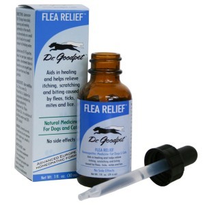 Flea Relief  Dr Good Pet